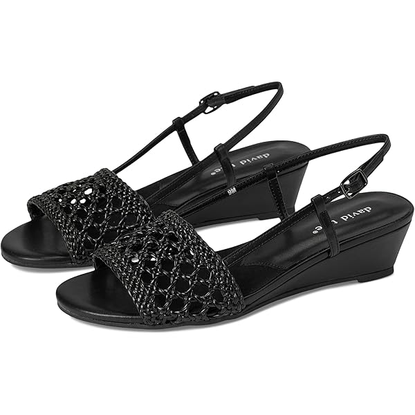 Amazon.com | David Tate Admire Silver Lizard Print 4 M (B